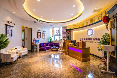 資本看好動物醫(yī)療賽道 寵愛國際完成C輪數(shù)億元融資成為市場標桿